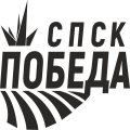 Логотип Победа